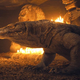 Illustration for article titled Publicist Confirms Komodo Dragon From ‘Skyfall’ Pregnant